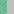 Mint Green/Light Grey